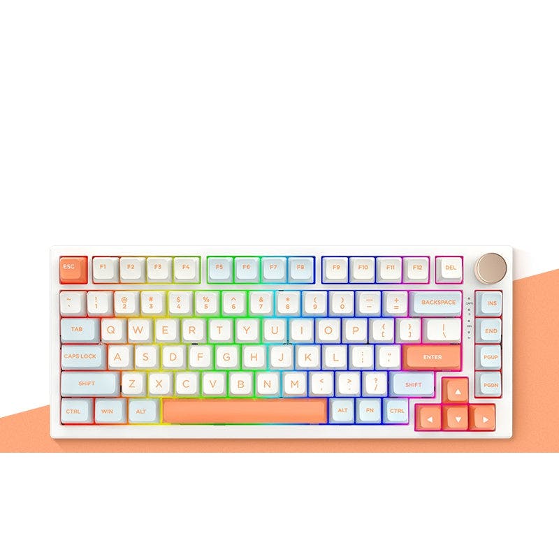 Pre-Order VGN N75 Gasket Mechanical Keyboard Orange / RGB Version-Wired / VGN Silver Linear